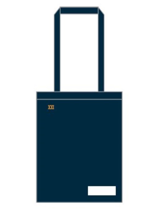 XXI Bag ST2426 / Blue navy