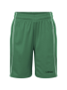 Basic Team Shorts Junior JN387K / Green+white
