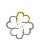 TALLINNA SÜDALINNA KOOL